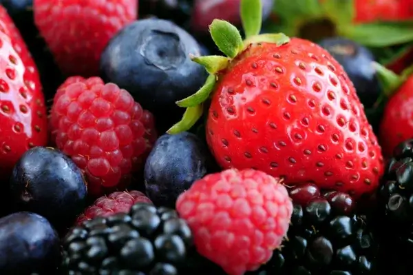A close up of berries, showcasing their vibrant colors and juicy appearance.