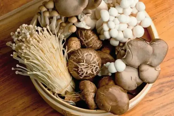 A bowl of different types of mushrooms on a wooden table, symbolizing the longevity of these fungi.