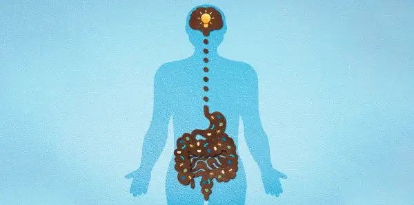Illustration of a human silhouette showing the brain and digestive system with connecting pathways on a blue background, highlighting the Gut to Brain link.