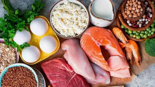 A variety of protein-rich foods on a table promoting longevity.